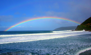 arcobaleno 6 lista